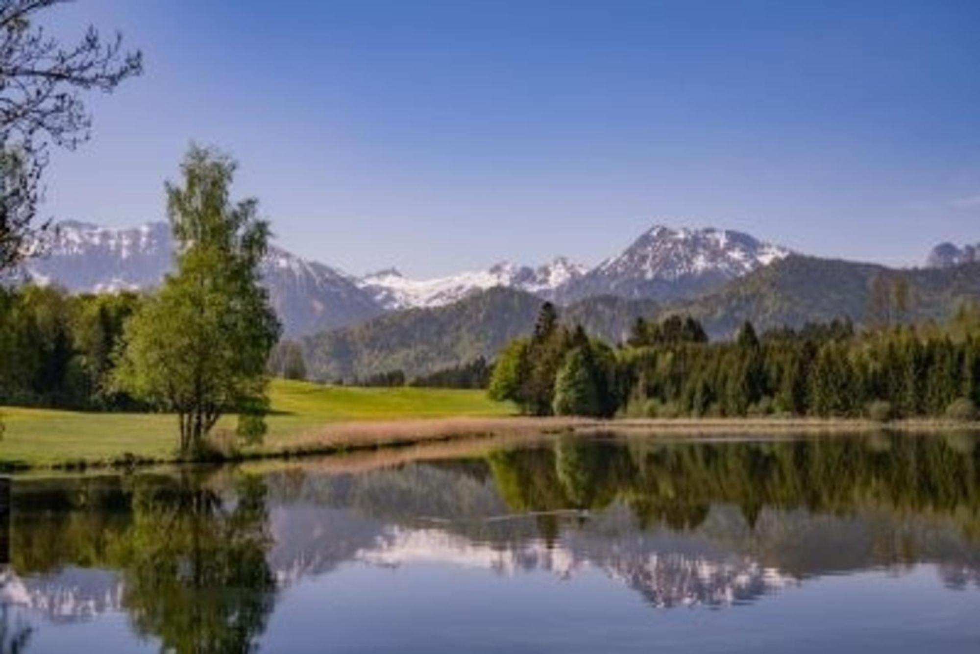 Ferienhof Hefele Zimmer Schwansee Mit Koenigscard 홈페라우 외부 사진